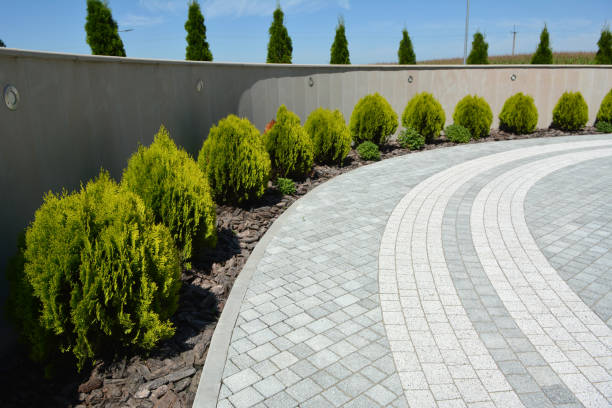 Best Residential Paver Driveway  in Whitewater, CA