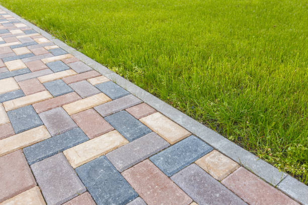Best Driveway Paving Contractor  in Whitewater, CA